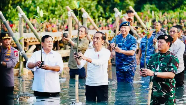 Presiden Joko Widodo dan jajarannya melakukan penanaman mangrove di Taman Wisata Alam (TWA) Angke Kapuk, Jakarta, Senin (15/05).