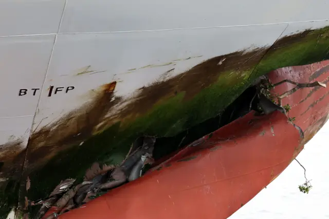 선체 사고 부위 벌어진 틈새에 나뭇가지가 껴있다