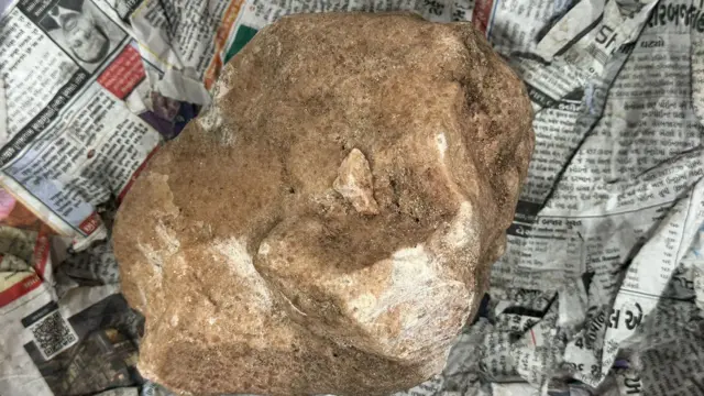 નવસારીના ઑપરેશન દરમિયાન ઝડપાયેલા કથિત અંબરગ્રીસની તસવીર