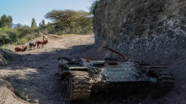 Waraana Kaaba Itoophiyaan mootummaan qilleensarratti olaantummaa akka fudhatu taasiseera. Kuni taankii dirooniin gubate jedhamedha.