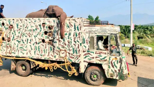 யானை வாழ்விடம்