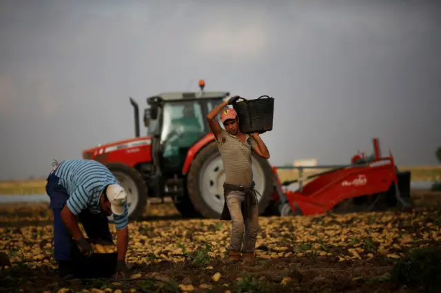Dois trabalhadores nos campos de Múrcia.