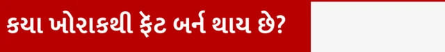 કયા ખોરાકથી ફૅટ બર્ન થાય છે?