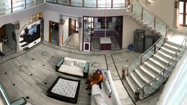 विनेशने आपल्या आईसाठी गावात अलिशान घर बांधलं आहे.