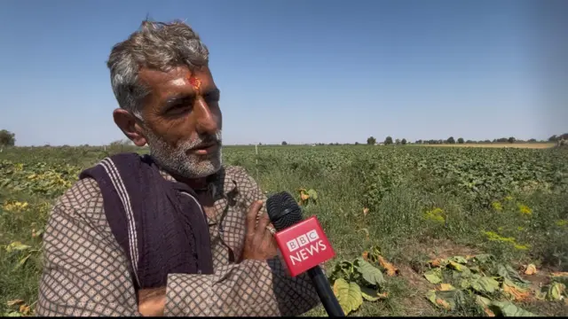 બીબીસી ગુજરાતી સુરેન્દ્રનગર ખેડૂત તમાકુ ખેતી જીરુ ધાણા વાવેતર 