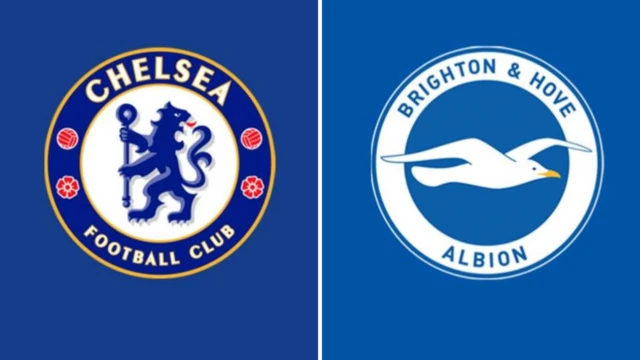 የቼልሲ እና ብራይተን መለያ አርማ 