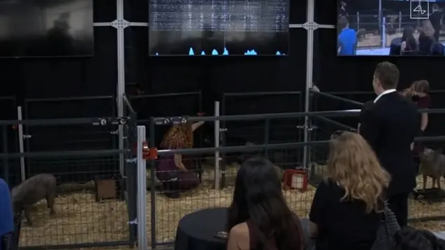 Илон Маск демонстрирует новые достижения компании Neuralink