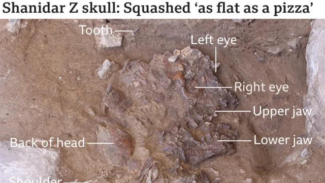 E.Pomeroy/G.Barker/Antiquity 2020