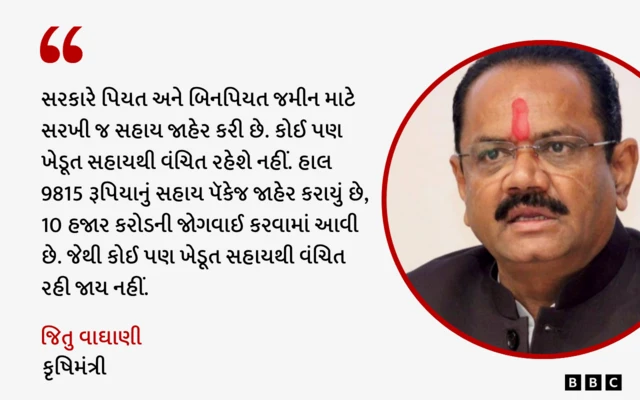 માવઠાને કારણે કપાસના પાકને નુકસાન, બીબીસી ગુજરાતી, ગુજરાતમાં ખેતી, ગુજરાતના ખેડૂતો, ભૂપેન્દ્ર પટે, જિતુ વાઘાણી, ભાજપ, કૉંગ્રેસ, આમ આદમી પાર્ટી, ગુજરાત સરકારની સહાય, મગફળીને નુકસાન