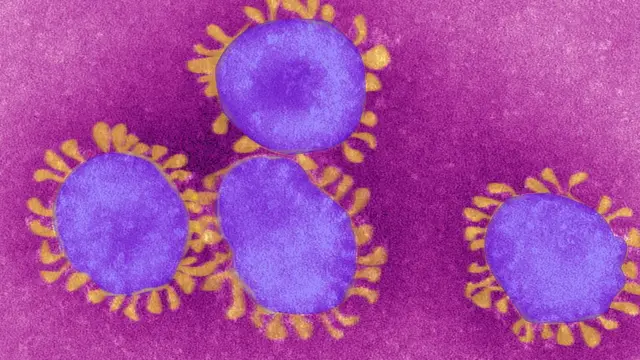 கொரோனா வைரஸ்: பரிசோதனை நிலையத்தில் இருந்து வெளியானது என்ற வாதத்தில் உண்மை இருக்கிறதா?