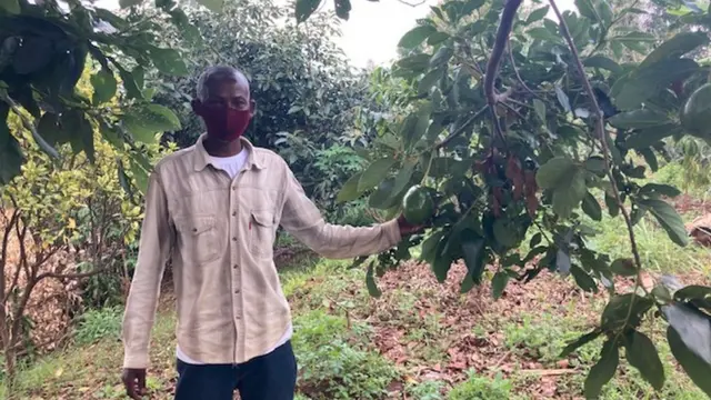 Ndagijimana Patrice, umuhinzi w'avoka, mu murima we uri mu murenge wa Mbazi mu karere ka Huye mu majyepfo y'u Rwanda