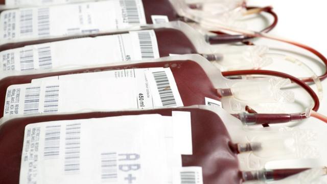 Bolsascaptain jack online casinosangue