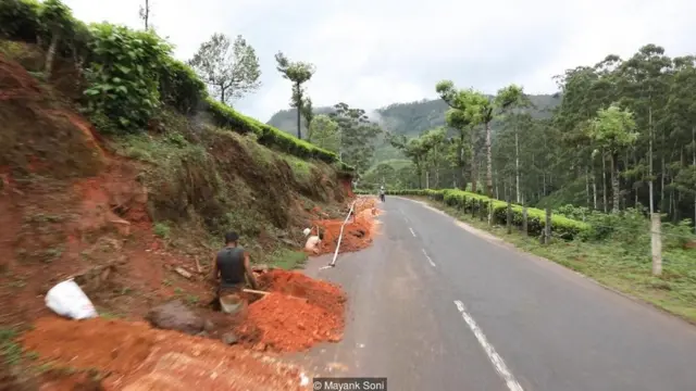 नीलकुरिंजी