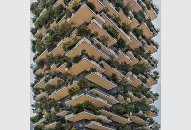 Urban Jungle by Paul Brouns