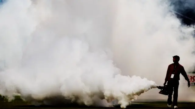 దోమల మందు కొడుతున్న ఉద్యోగి