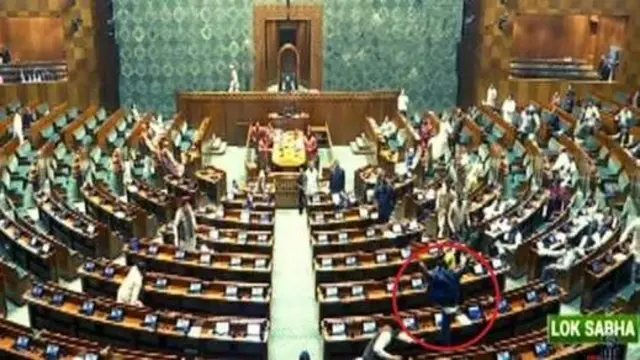 ਭਾਰਤੀ ਸੰਸਦ 