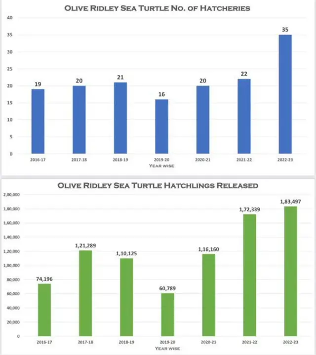 கடல் ஆமைகள் குஞ்சு பொரித்தல்