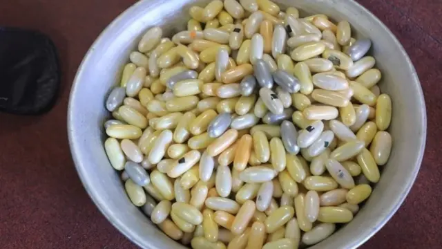 ኮኬይን