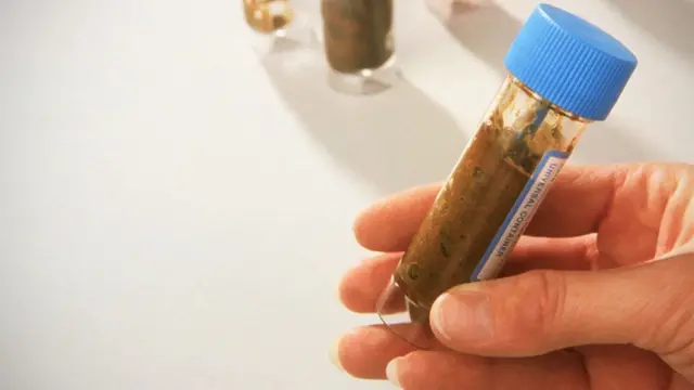 ካብ ሓደ ጥዑይ ለጋሲ ቀልቀል ወይ ሰገራ ተወሲዱ ናብ ስርዓተ ከስዐ ናይ ሓደ ዝሓመመሰ ሰብ ክኣትው ይግበር