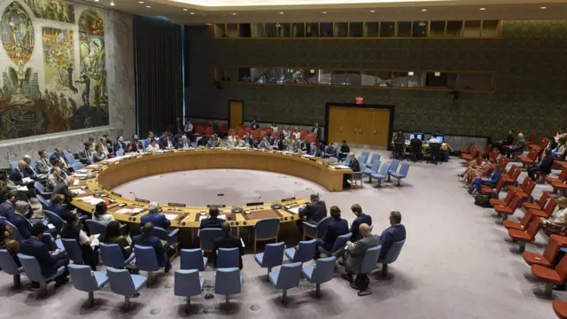 Засідання Ради безпеки