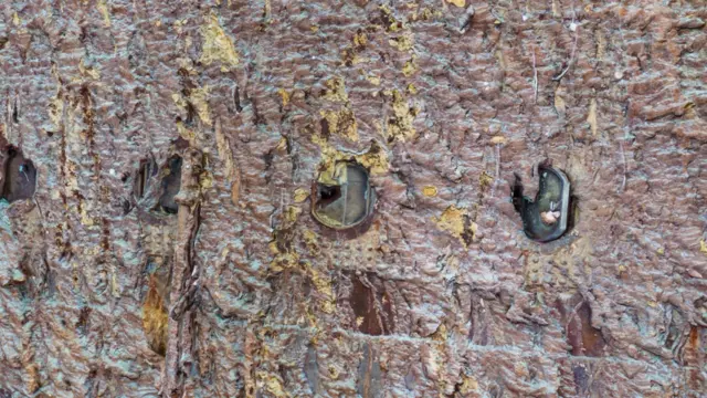 టైటానిక్, సముద్రం, సముద్ర ప్రయాణం
