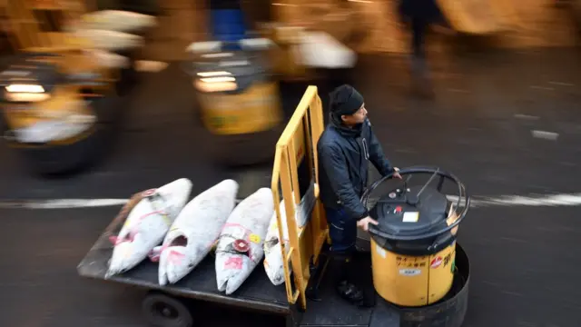 торговец на тележке везет рыбу