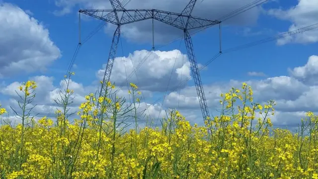 Краски лета