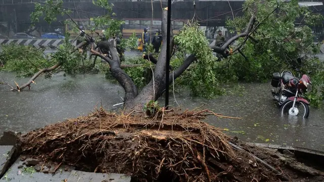 தமிழகத்தில் வீசிய 5 புயல்களில் 359 பேர் பலி