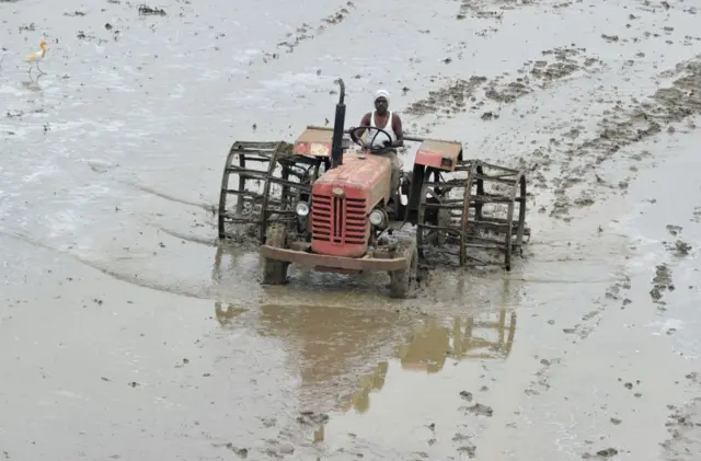 हैदराबाद