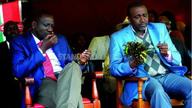 KEMRI oo darasad cusub ka soo saartay qaadka