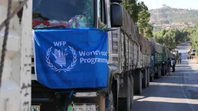 ረድኤት ዝፀዓና መኻይን