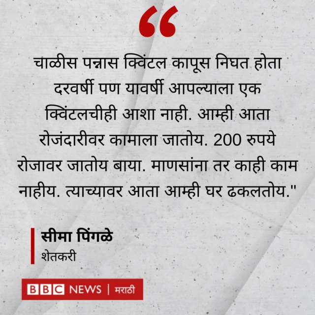 ग्राफिक्स