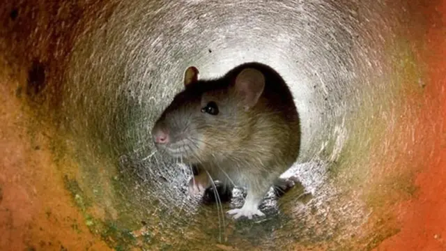 Uy qurgan onalar porno rasmlar