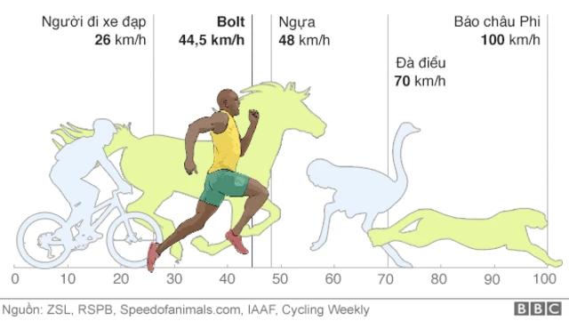 Bolt nhanh hơn bạn tưởng