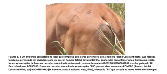 Trecho de relatório do Ibama com imagem de uma evidência para acusar Cavalcanti Neto de ser dono da fazenda. Segundo os fiscais, a sigla marcada representaria a família do político. 