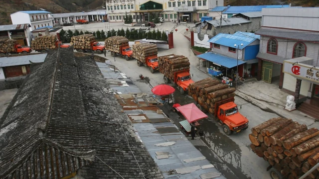 ဦးဇခုန်တိန့်ယိန်း၊ ကချင်အထူးဒေသ ၁ ၊ ပန်ဝါ