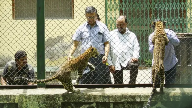 उत्तराखंड बाढ़