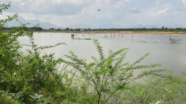 తిరుపతి: తుమ్మలగుంట చెరువు