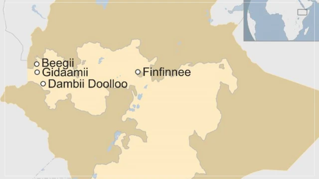 Kaartaa Dambiidoolloo, Gidaamii, fi Beegii