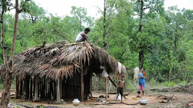 గిరిజనుల పెన్ పండుమ్
