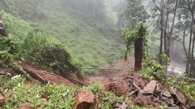 கேரளா கன மழை