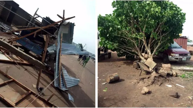 Aworan alapa ile ati igi ti ojo wo