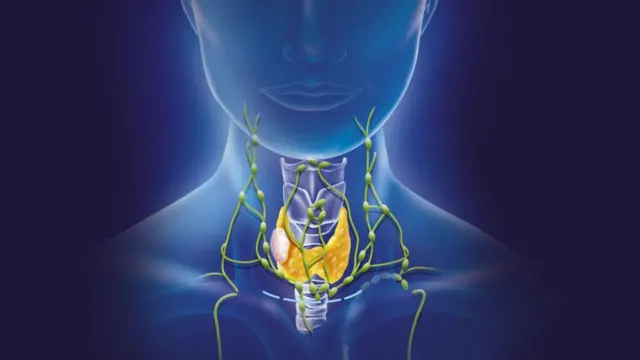 ต่อมไทรอยด์