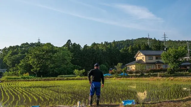 Agricultorsite de casino confiavelFukushima olha parasite de casino confiavelplantaçãosite de casino confiavelarroz sob um céu azul, ao ladosite de casino confiaveluma casasite de casino confiavelfazenda japonesa