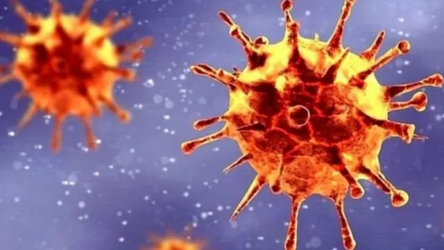 કોરોના વાઇરસ