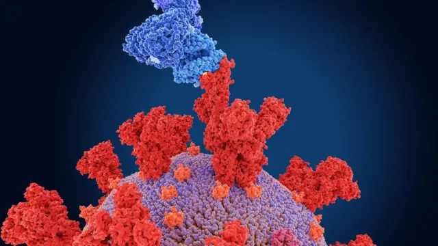 डेल्टा प्लस व्हेरियंट