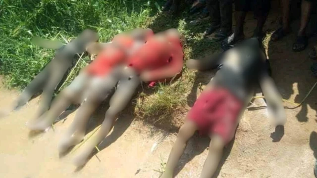 Dịka ozi anyị nwetara siri kọwaa, ụmụokoroọbịa ahụ nwụrụ oge ụgbọmmiri ha kpuru n'osimiri.