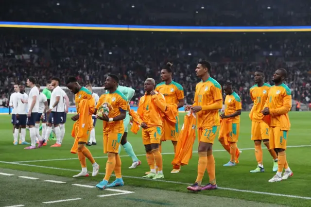 Les Éléphants de Cote d'Ivoire