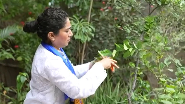 షిరీన్ అబ్దుల్లా