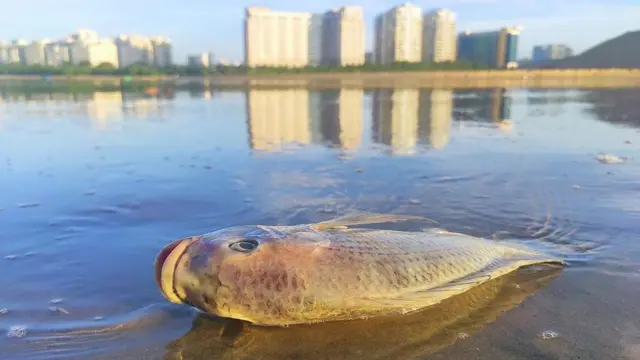 அழிவின் விளிம்பில் சென்னை: பேரிடர் சூழ் தலைநகரில் சிக்கலாகும் நகரத் திட்டமிடல் – என்ன பிரச்னை?